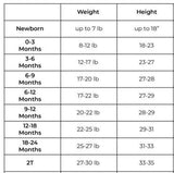 Baby Rose Romper - Pink Peach Boutique